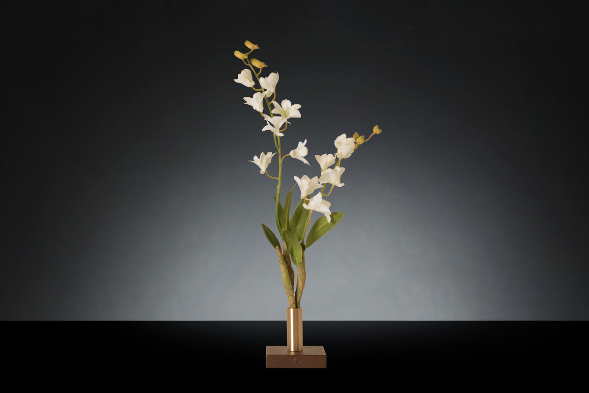 1700218692-1142901.37 SINGLE DENDROBIUM_2LOW